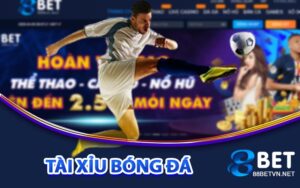 THỂ THAO - 88BET - UVION.WIN