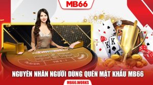 Hỗ Trợ MB66 | Thông Tin Hữu Ích Dành Cho Người Chơi - UVION.WIN