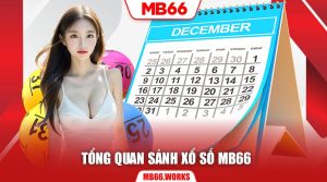 Đá Gà MB66 - Sân Chơi Chuyên Nghiệp Cho Anh Em Sư Kê Việt - UVION.WIN