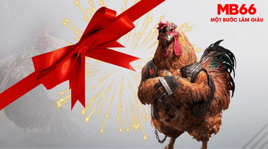 Đá Gà MB66 - Sân Chơi Chuyên Nghiệp Cho Anh Em Sư Kê Việt - UVION.WIN
